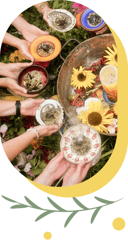 Altes Wissen - Blüten und getrocknete Pflanzen für ein Ritual