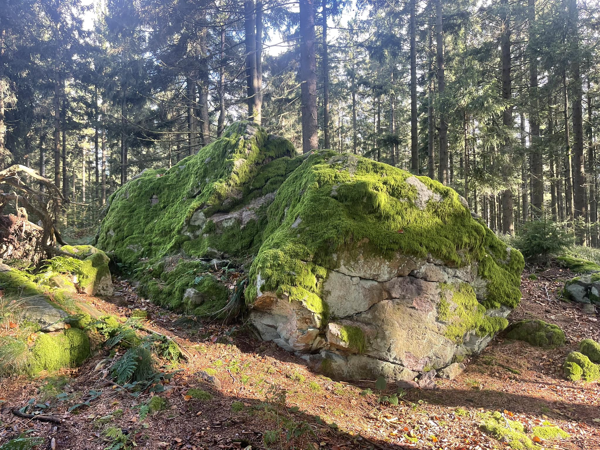 Altes Wissen Beitragsbild - 1. Oktober – Goldener Monat