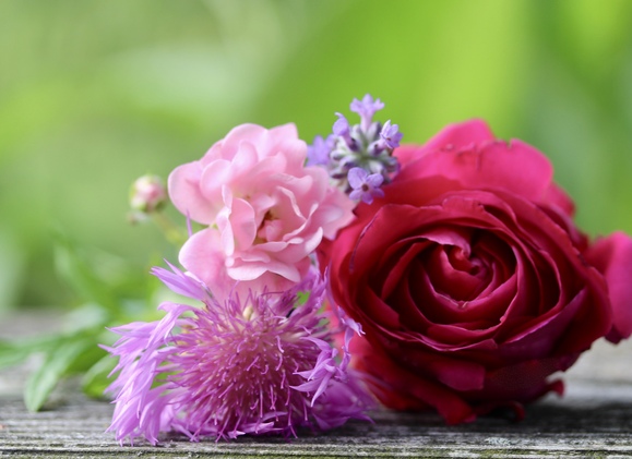 Altes Wissen Beitragsbild - Online Akademie Altes Wissen 2025