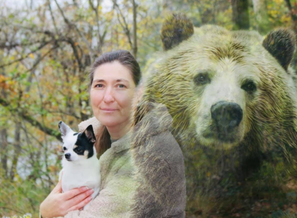 Bärenkraft